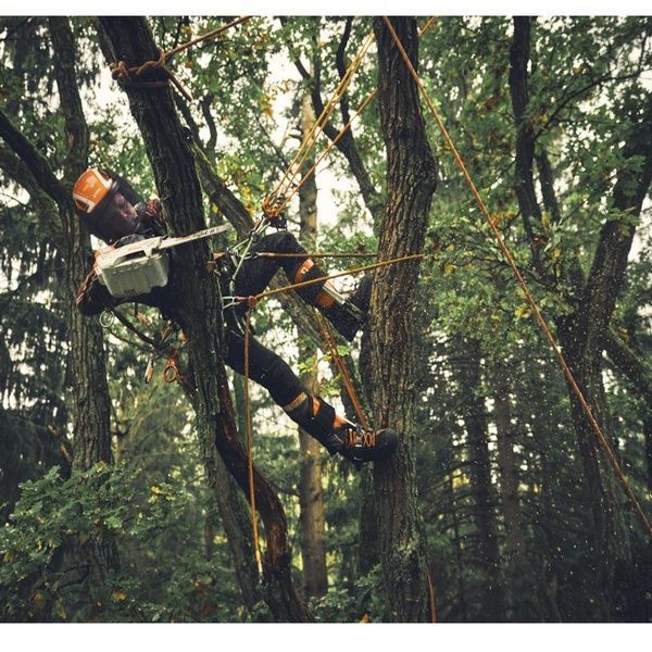 Пила аккумуляторная STIHL MSA 190 T шина 30см без аккумулятора и ЗУ MA052000001 фото