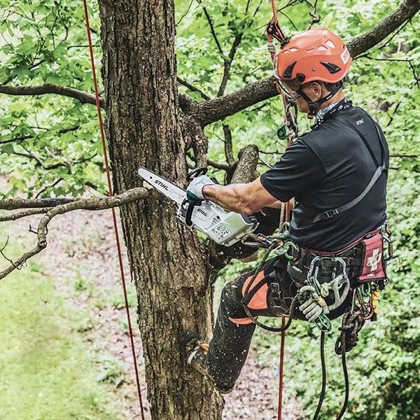 Пила аккумуляторная STIHL MSA 160 шина 30 см без аккумулятора и ЗУ 12522000068 фото