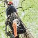 Пила аккумуляторная STIHL MSA 160 шина 30 см без аккумулятора и ЗУ 12522000068 фото 5